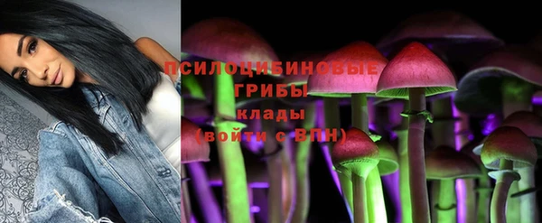 spice Абинск