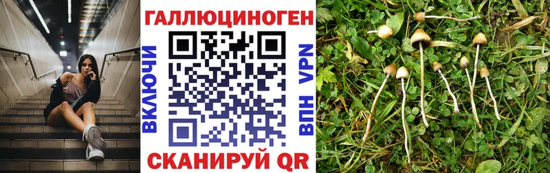 это клад  Ярославль  Галлюциногенные грибы MAGIC MUSHROOMS  магазин  наркотиков 