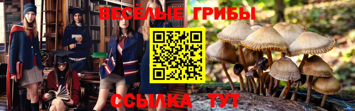 Псилоцибиновые грибы GOLDEN TEACHER Ярославль