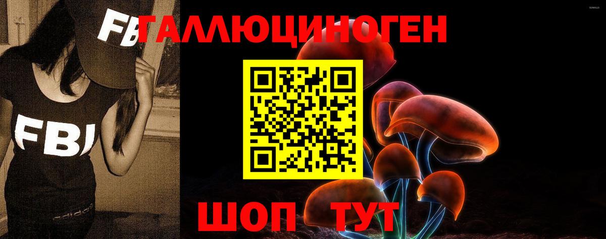 Галлюциногенные грибы Psilocybine cubensis  Псилоцибиновые грибы мицелий  Вход с VPN  наркота  Ярославль 